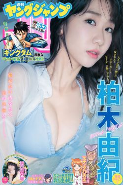 29集电视剧半路夫妻免费观看